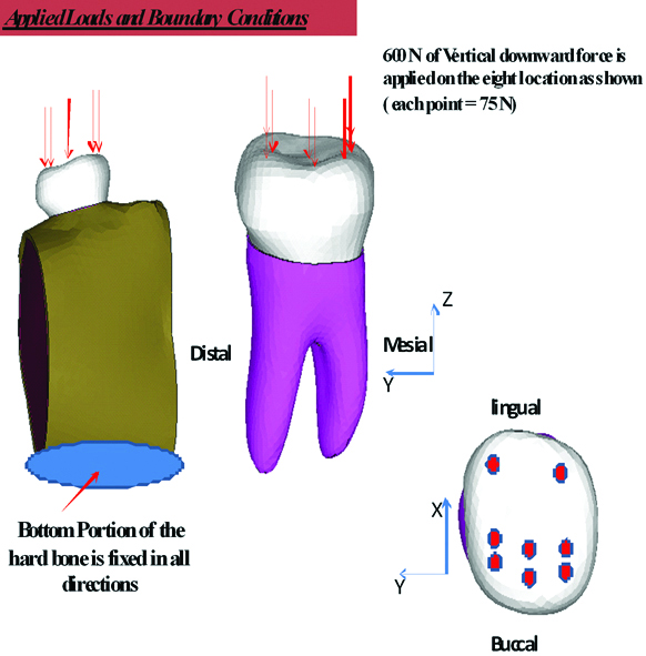 [Table/Fig-6]: