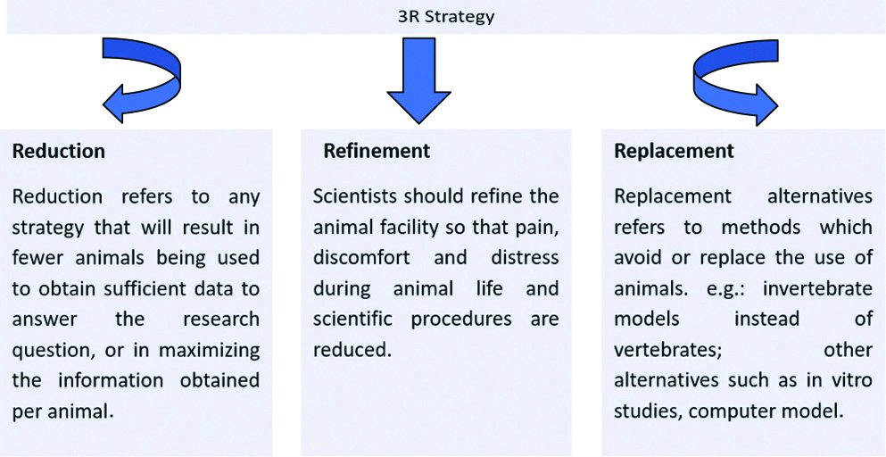 JCDR - Animals, Reduction, Refinement, Replacement