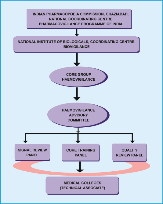 Pharmacovigilance Flow Chart