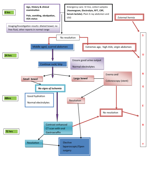 PDF) Development of a Web-Based Nonoperative Small Bowel Obstruction  Treatment Pathway App