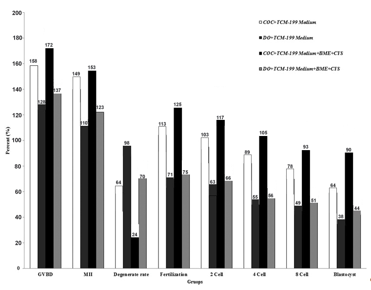 PDF) Insulin and IR-β in pig spermatozoa: A role of the hormone in